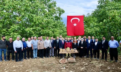 Başkan Toptaş, AB tescilli cevizlerin hasat şenliğine katıldı