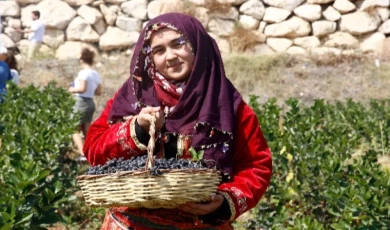 Kilosu 300 liraya satılıyor! Üreticinin yüzü gülüyor