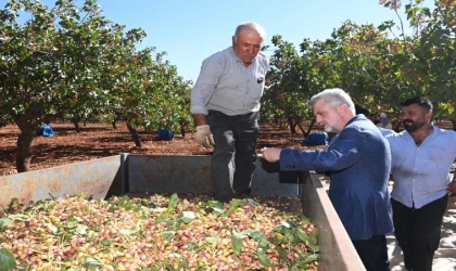 Başkan Görgel: “Pazarcık Fıstığı’nın Tescili İçin Gerekli Süreçleri Başlatıyoruz”