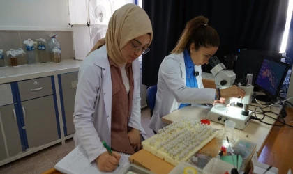 Büyükşehir Zararlılarla Mücadelede Etkinliğini Daha da Artırıyor