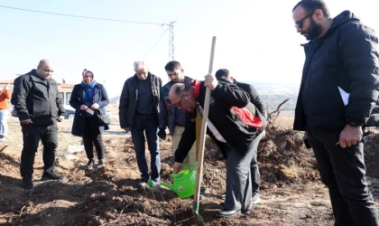 Dulkadiroğlu Belediyesi’nden Deprem Şehitleri Anısına Fidan Dikme Etkinliği