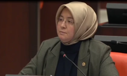 Milletvekili Dr. Tuba Köksal’dan DEM Parti Milletvekiline Sert Yanıt