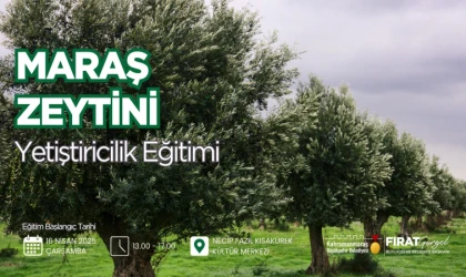 Büyükşehir’den Zeytin Üretimine Katma Değer; Maraş Zeytini Yetiştiriciliği Eğitimi