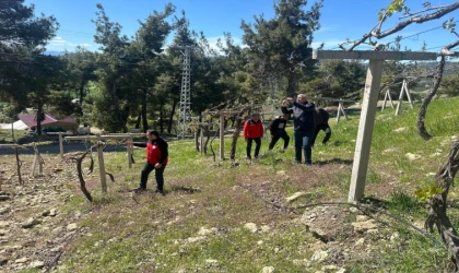 Cumhurbaşkanı Erdoğan Çiftiye Destek Açıkladı; Tarım ve Orman Müdürlüğü Harekete Geçti