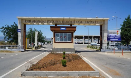 Hayvan Borsası’nda Hazırlıklar Tamamlandı 