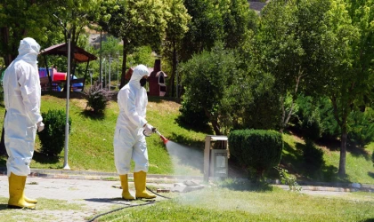 Kene Tehdidine Karşı Büyükşehir Sahada