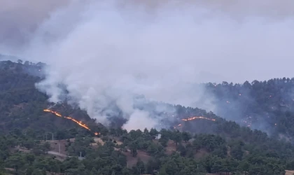 Büyükşehir İtfaiyesi Çamlıbel’deki Yangınına Müdahale İçin Seferber Oldu