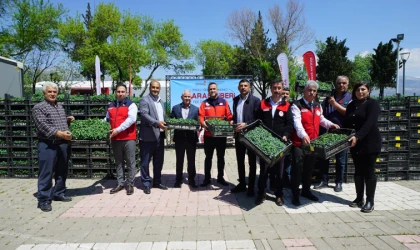 Büyükşehir’den Üreticiye 650 Bin Hibe Biber Fidesi