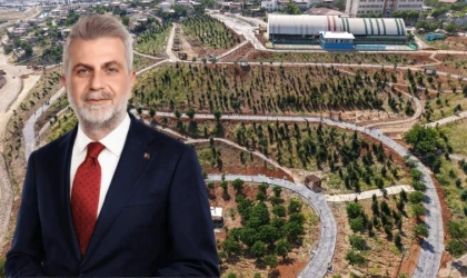Büyükşehir’in ‘Yeşil Dönüşüm’ Hamlesi Karbon Yutak Alanı’nda Çalışmalar Sürüyor