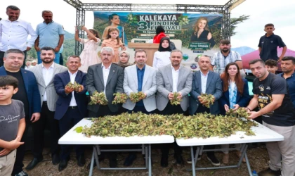 Başkan Toptaş, Kahramanmaraş’ın Karadeniz’i Kalekaya’da Fındık Festivali’ne katıldı