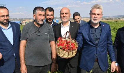 Başkan Görgel; “Dünya’nın En Güzel Biberi, Maraş Biberi Hasadımız Hayırlı ve Bereketli Olsun”